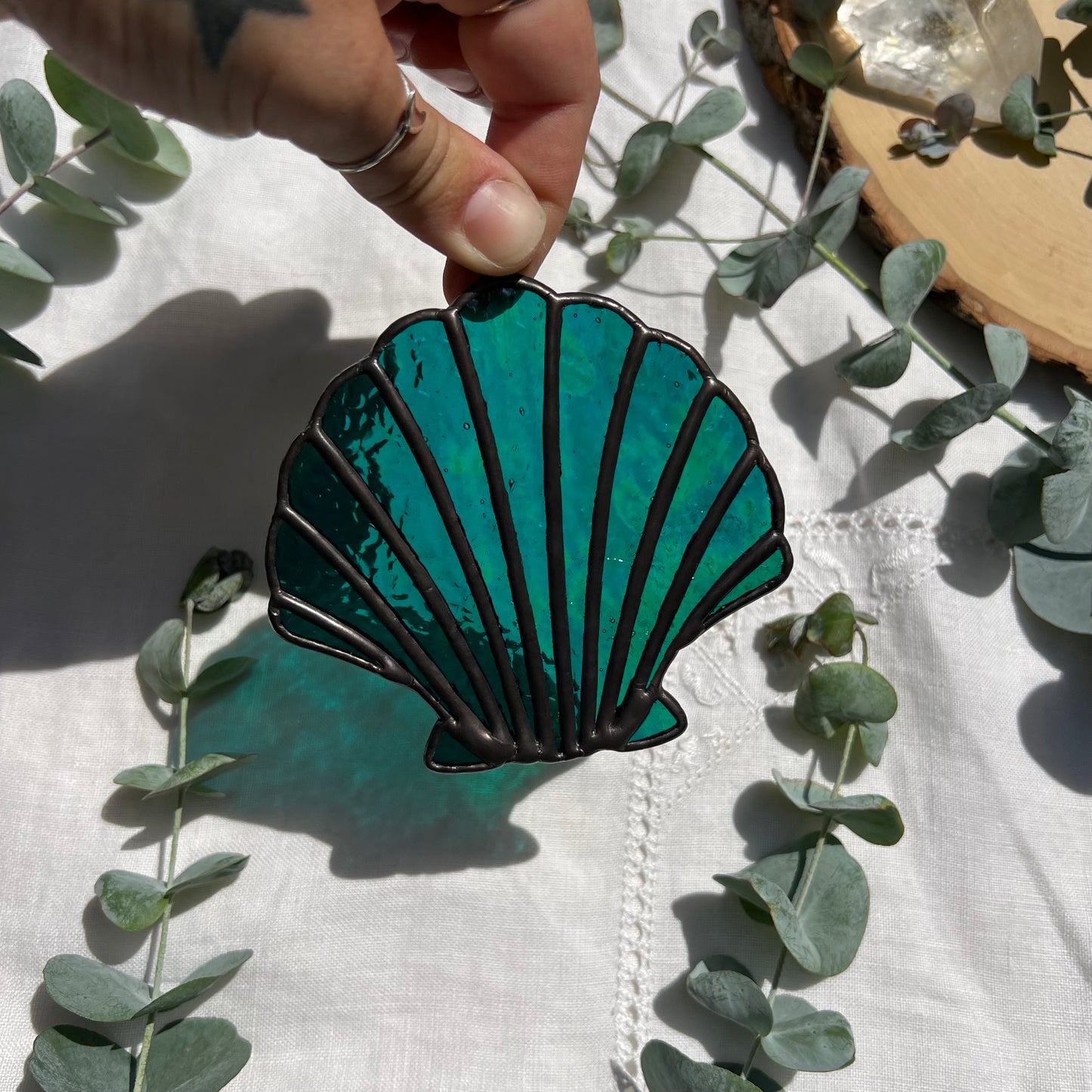 Iridescent Teal Scallop Shell
