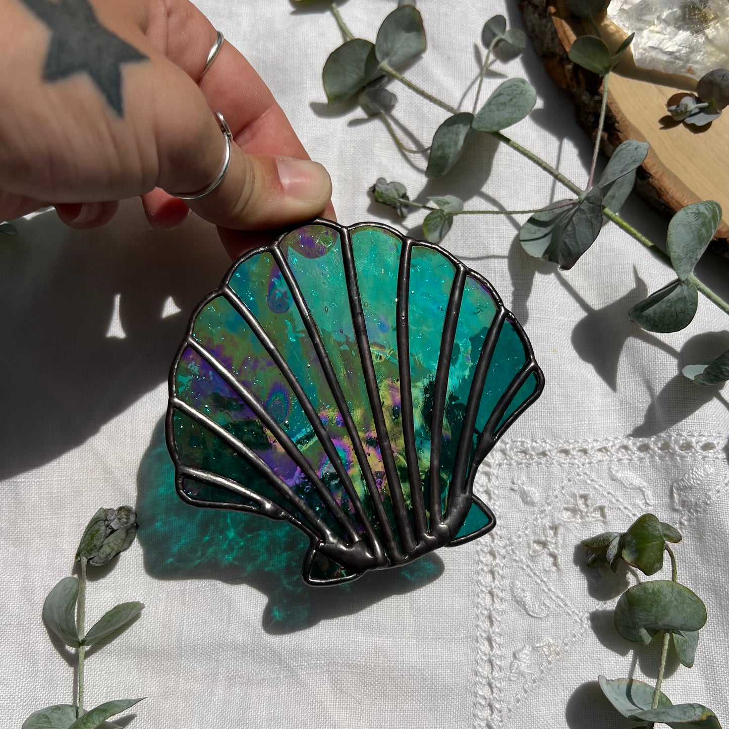 Iridescent Teal Scallop Shell