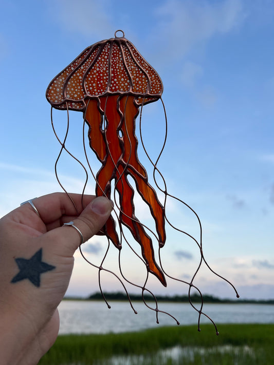Sea Nettle Jellyfish