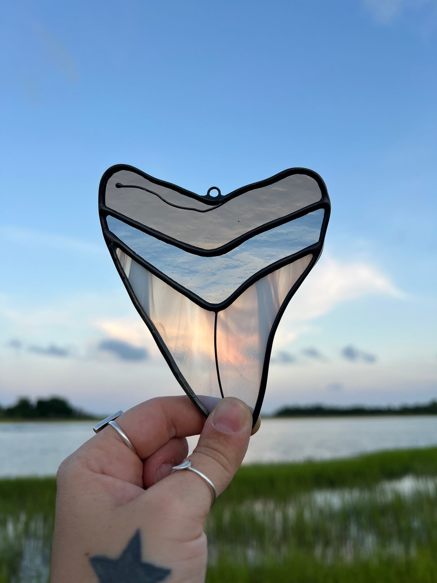 Megalodon Shark Tooth