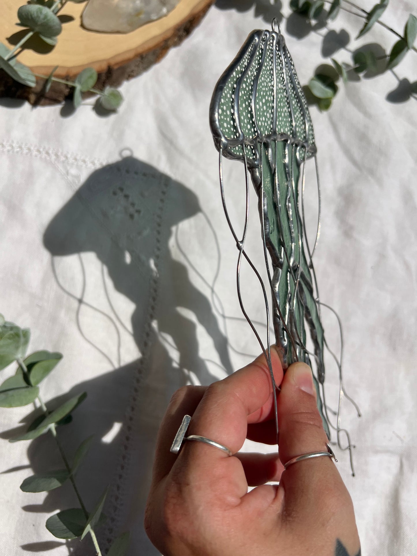 Sea Nettle Jellyfish