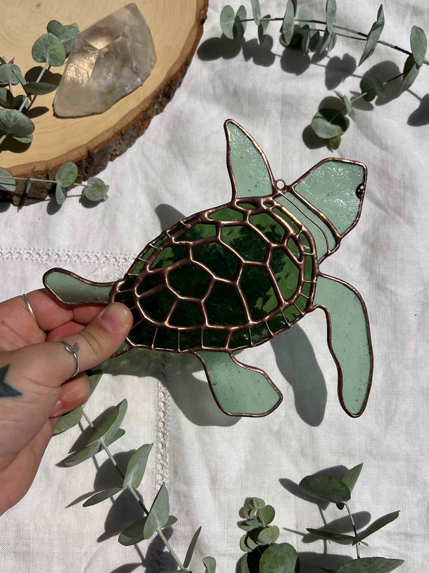 Sea Foam Green Sea Turtle