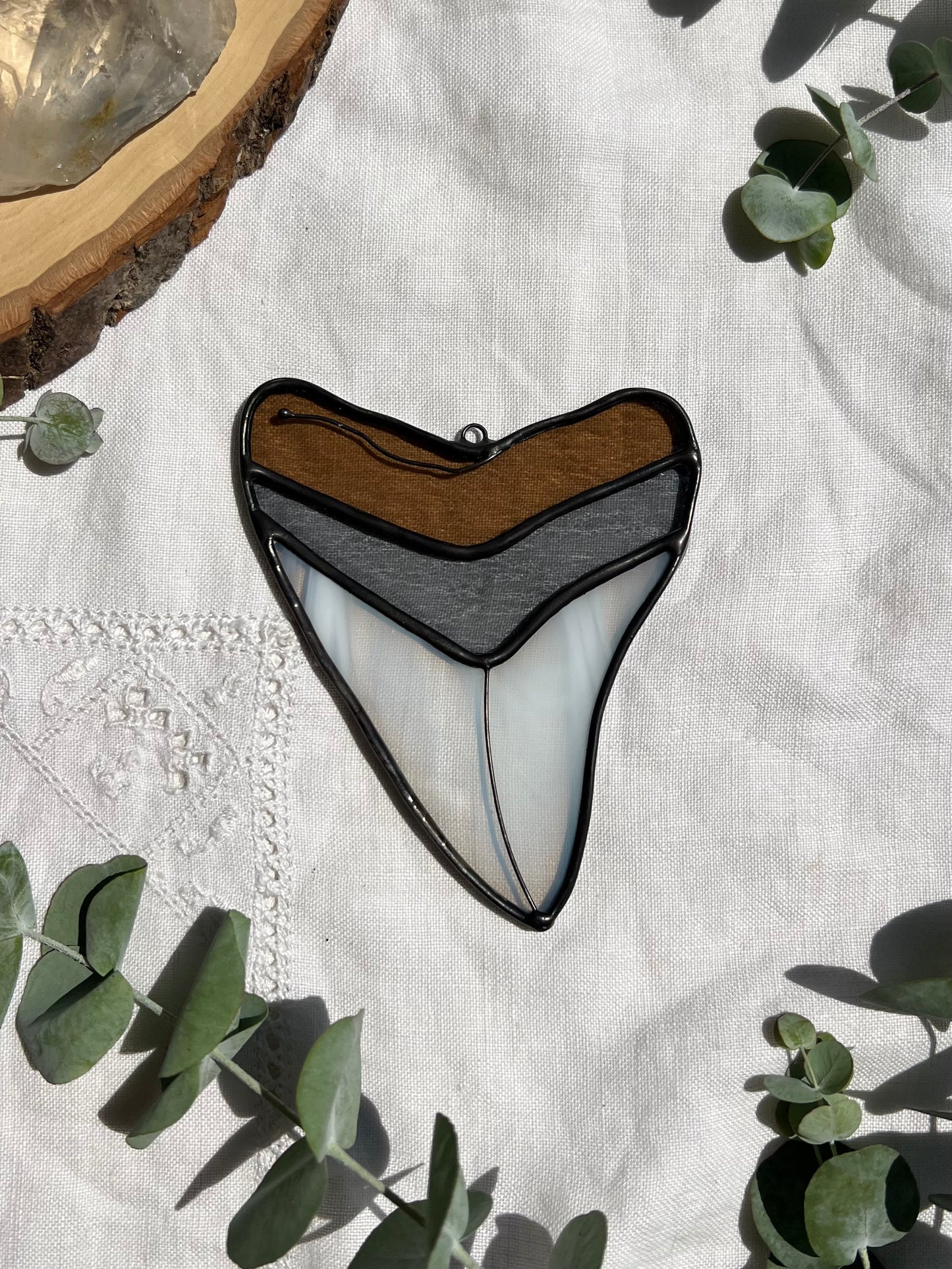 Megalodon Shark Tooth