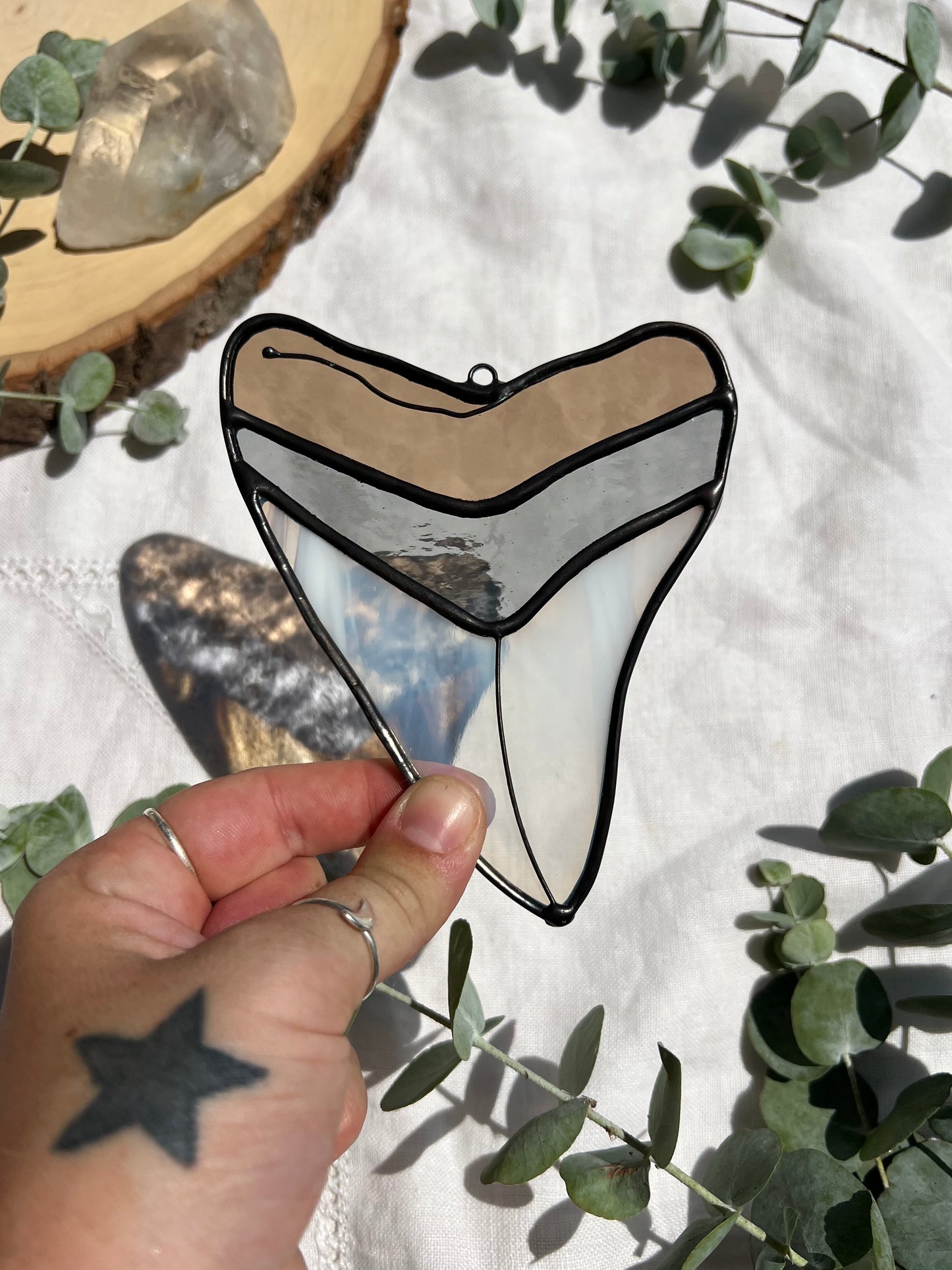 Megalodon Shark Tooth