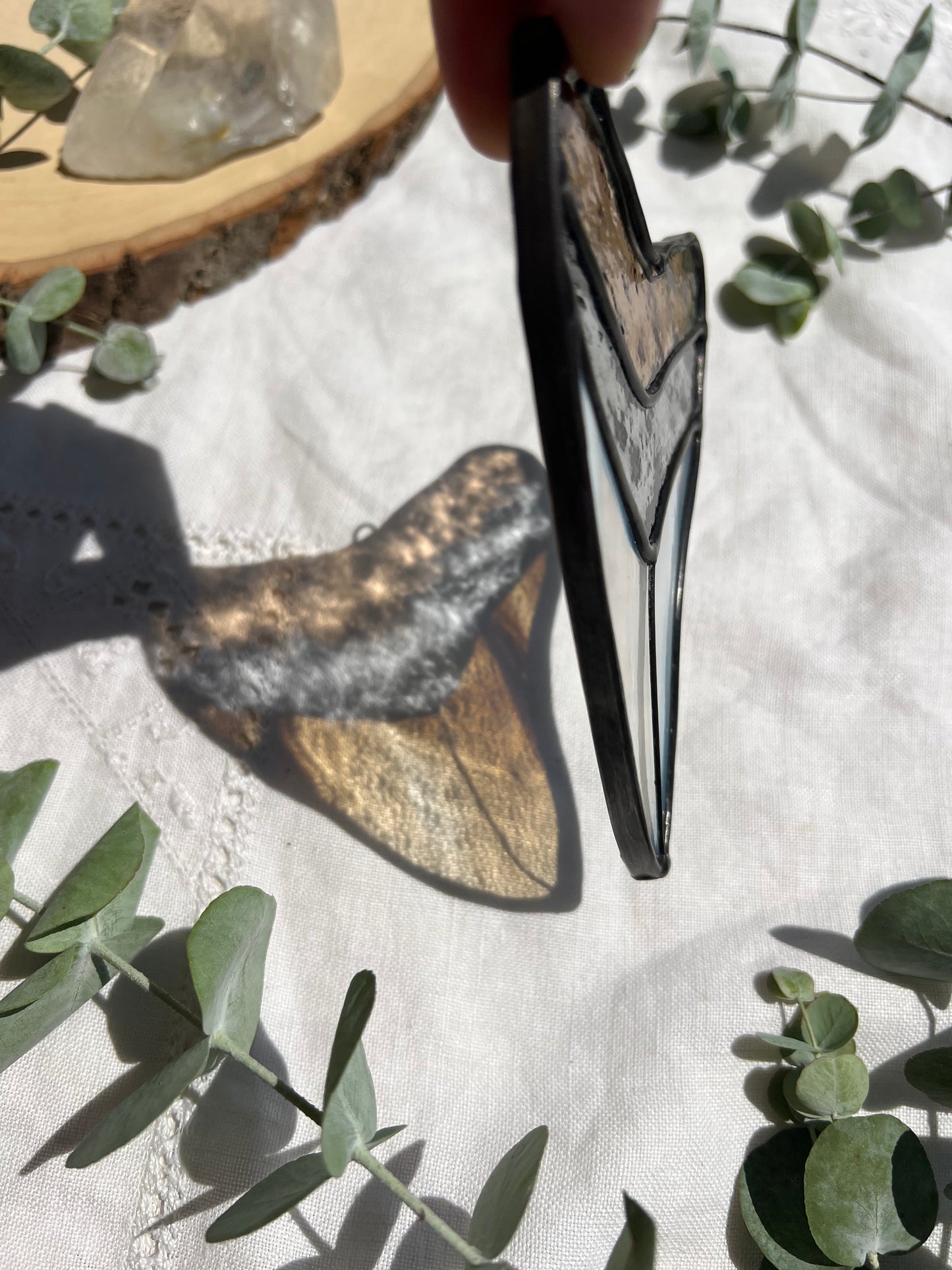 Megalodon Shark Tooth