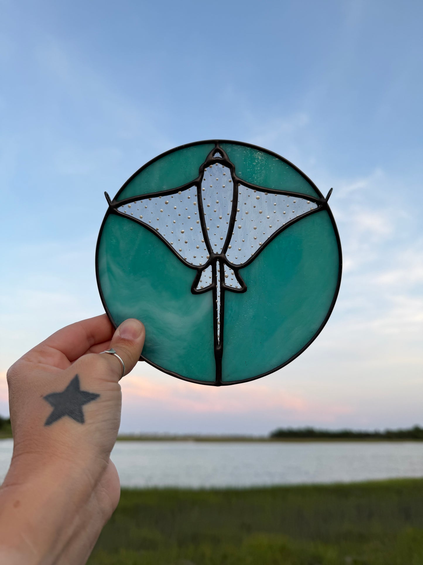 Turquoise Eagle Ray