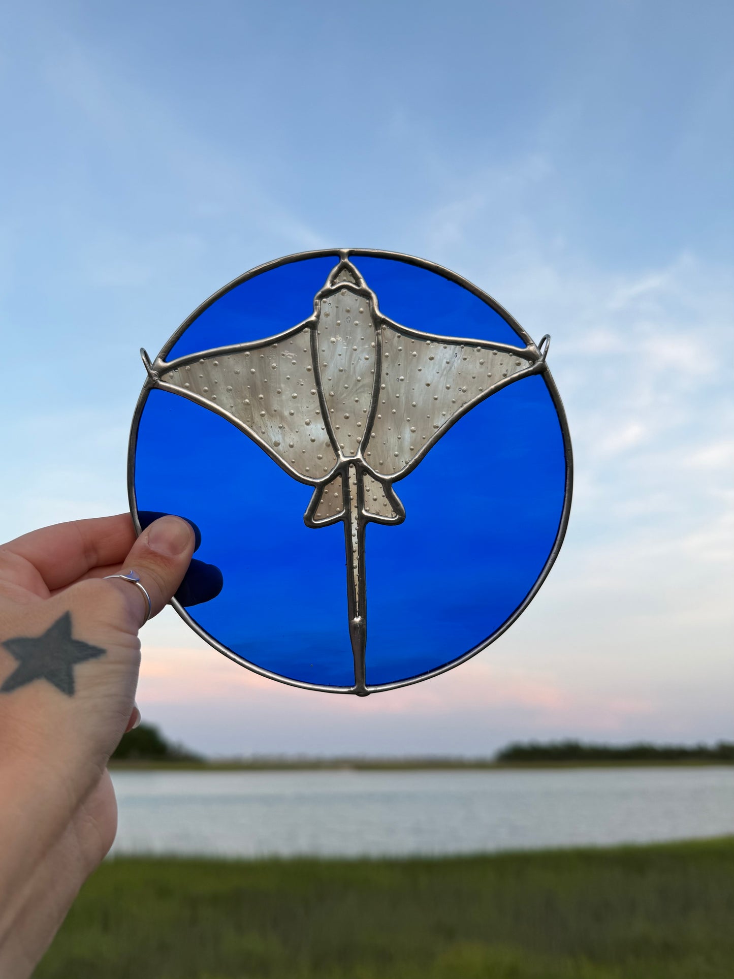 Deep Blue Eagle Ray