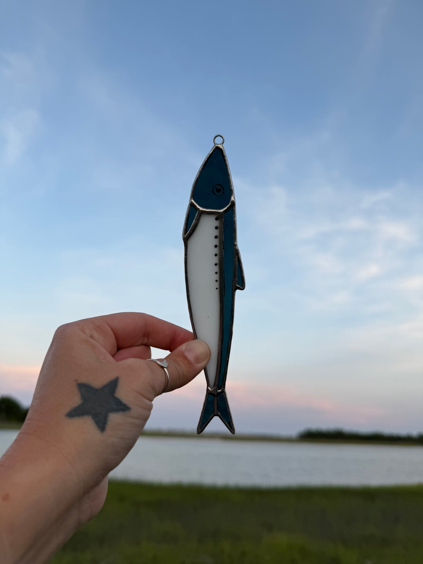 Steel Blue Sardine