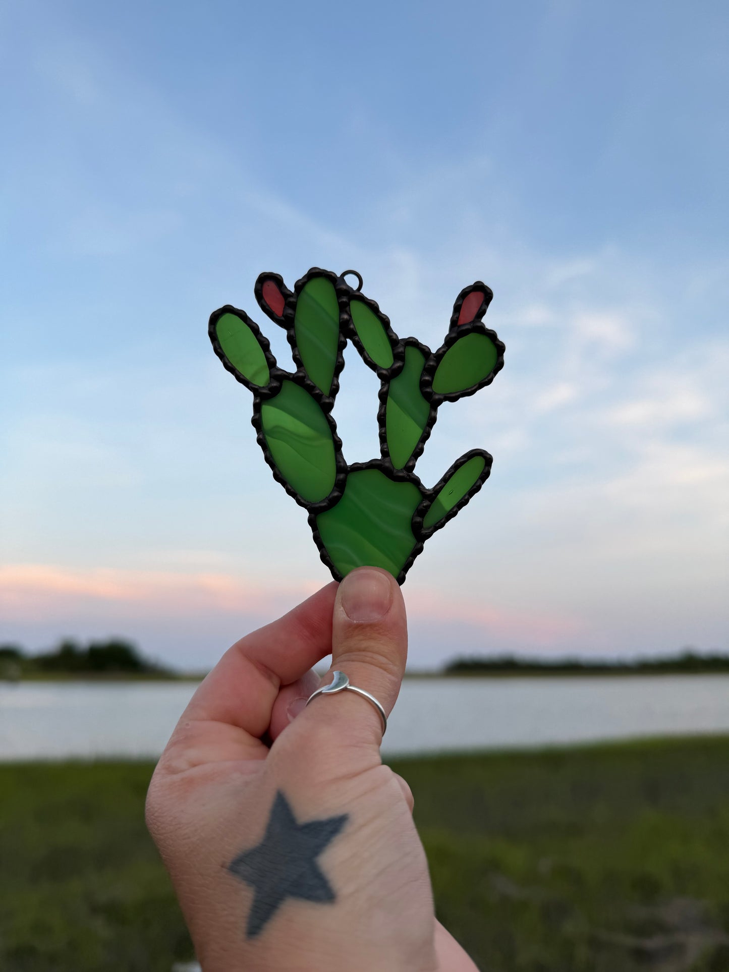 Prickly Pear Cactus