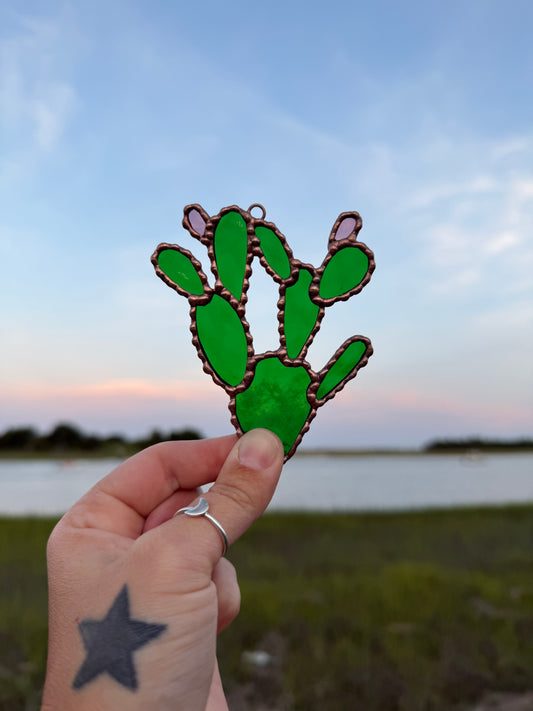 Prickly Pear Cactus