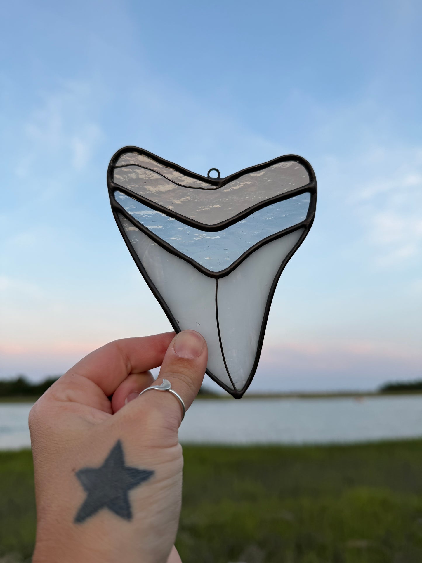 Megalodon Shark Tooth