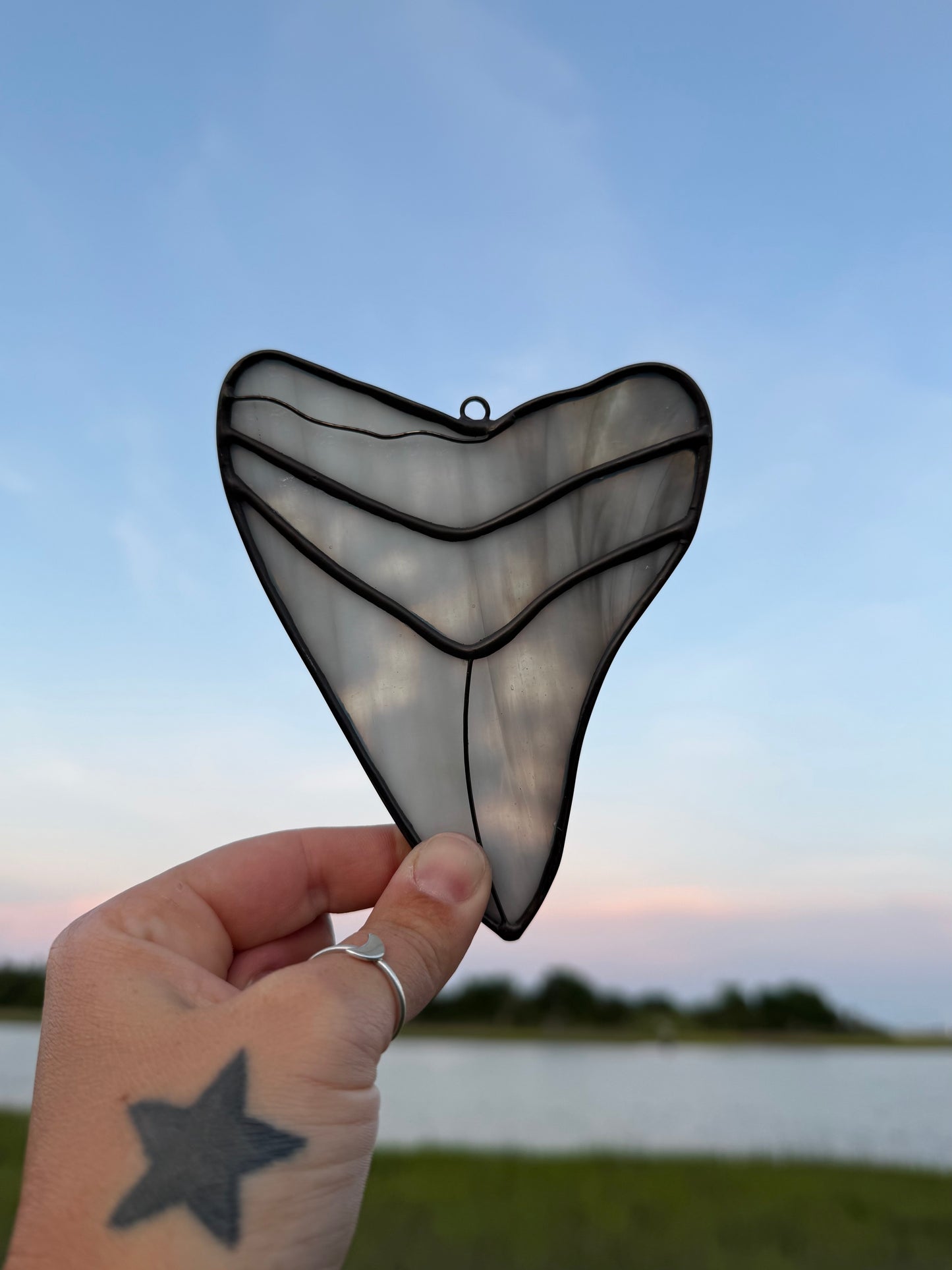 Megalodon Shark Tooth