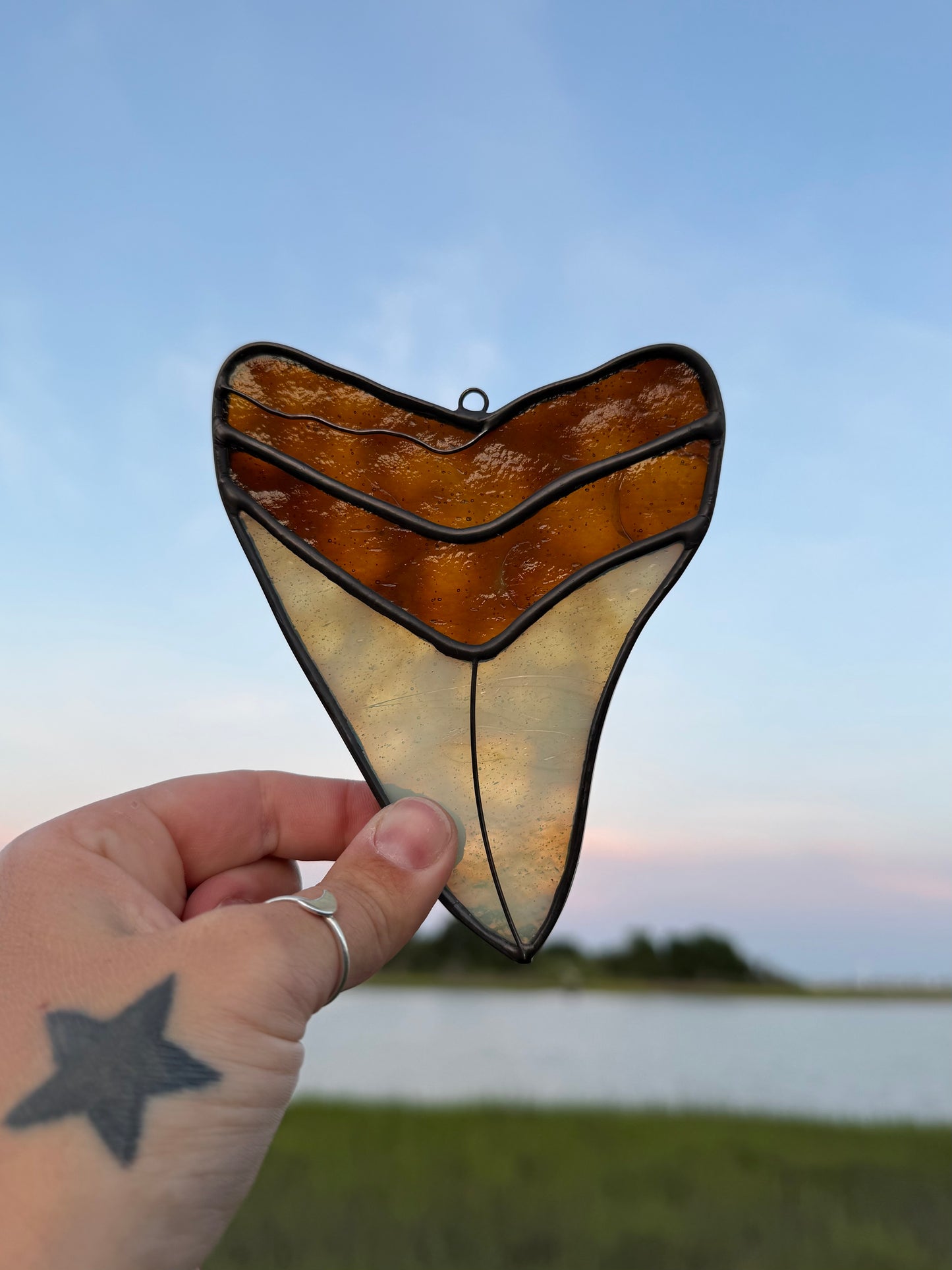 Megalodon Shark Tooth