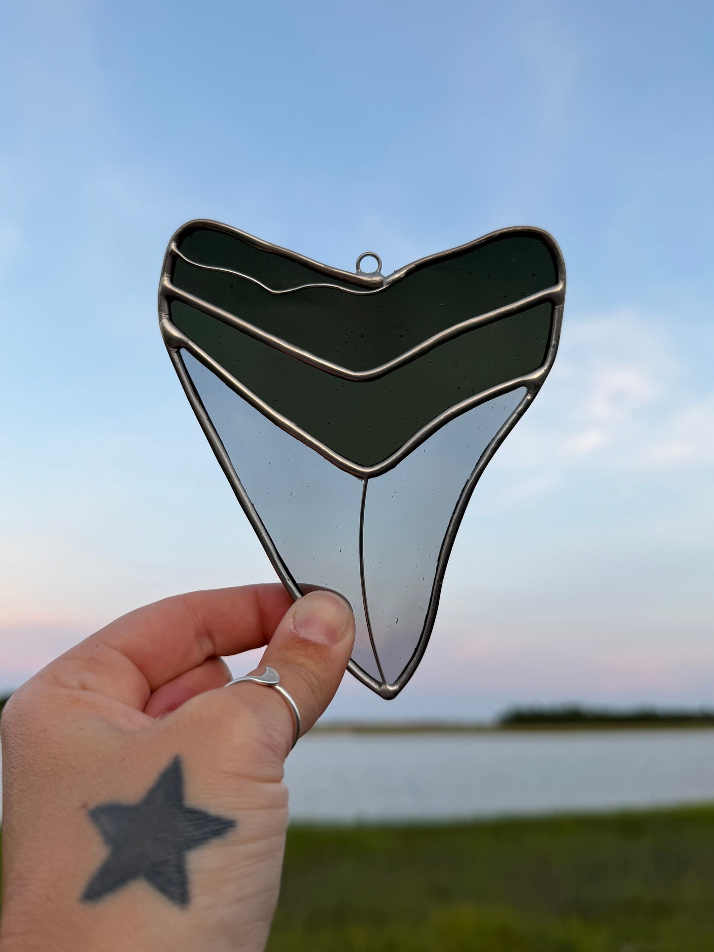 Megalodon Shark Tooth