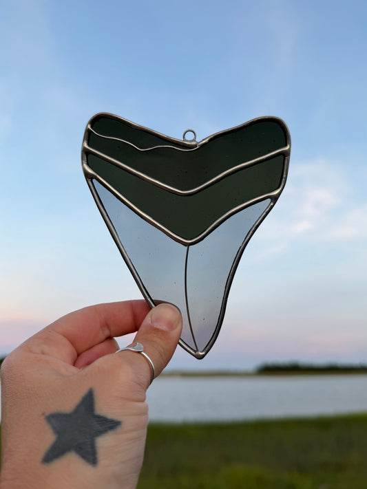 Megalodon Shark Tooth