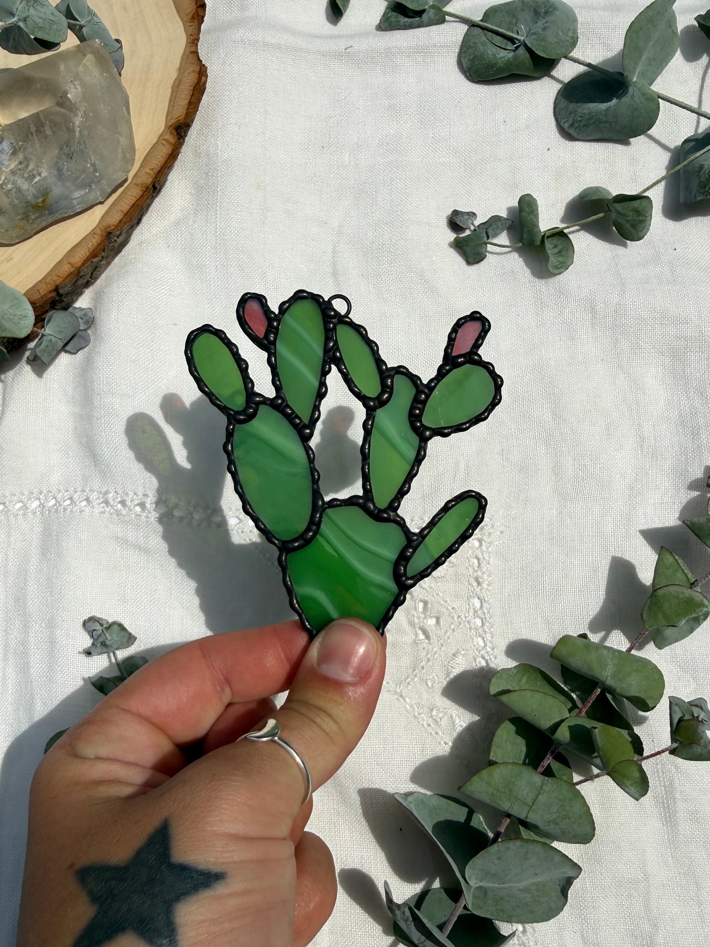 Prickly Pear Cactus
