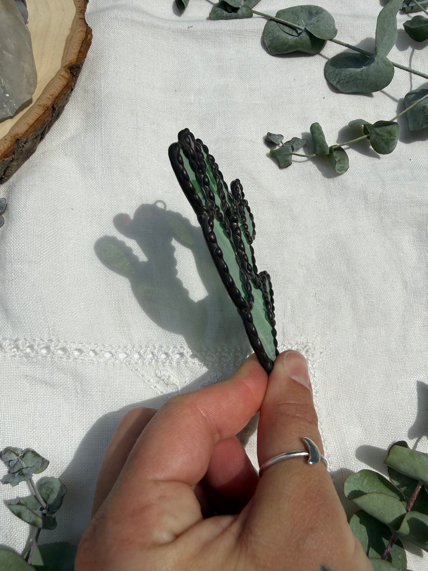 Prickly Pear Cactus