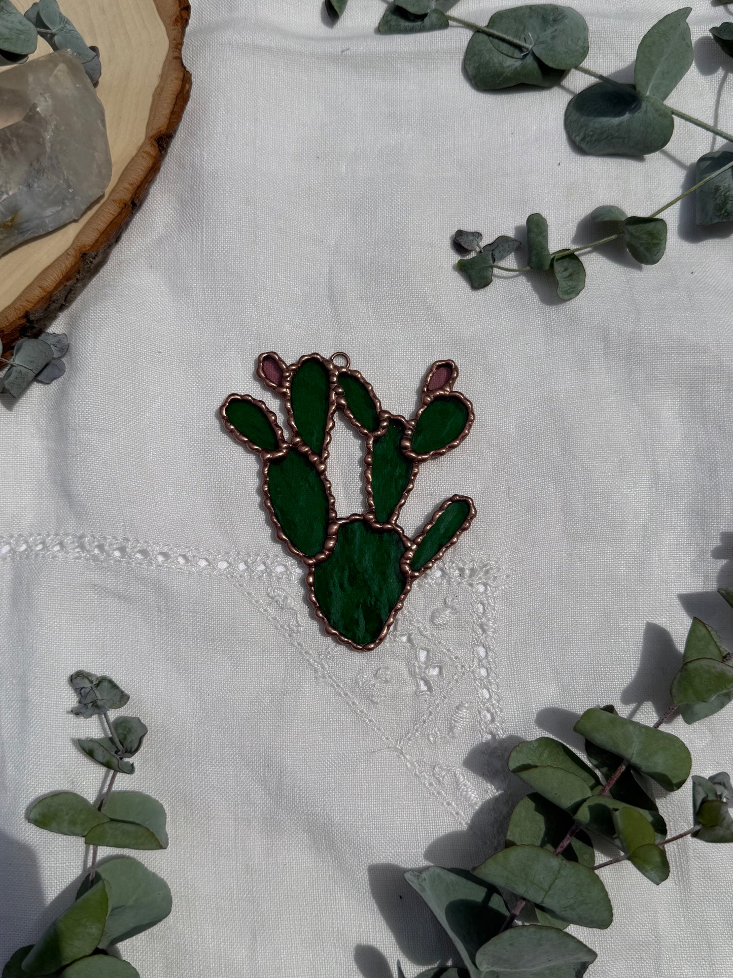 Prickly Pear Cactus