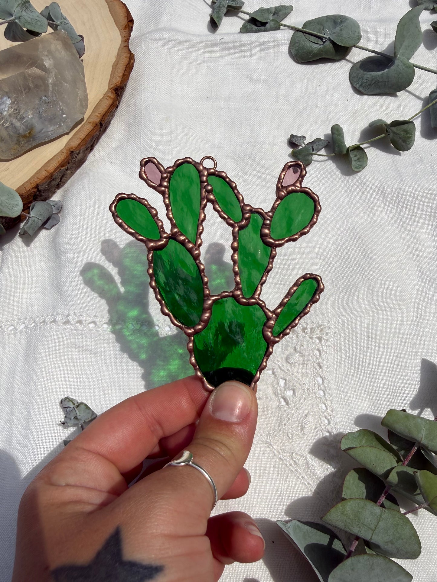 Prickly Pear Cactus
