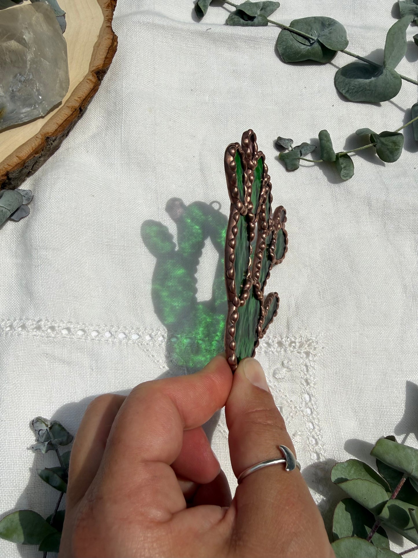 Prickly Pear Cactus