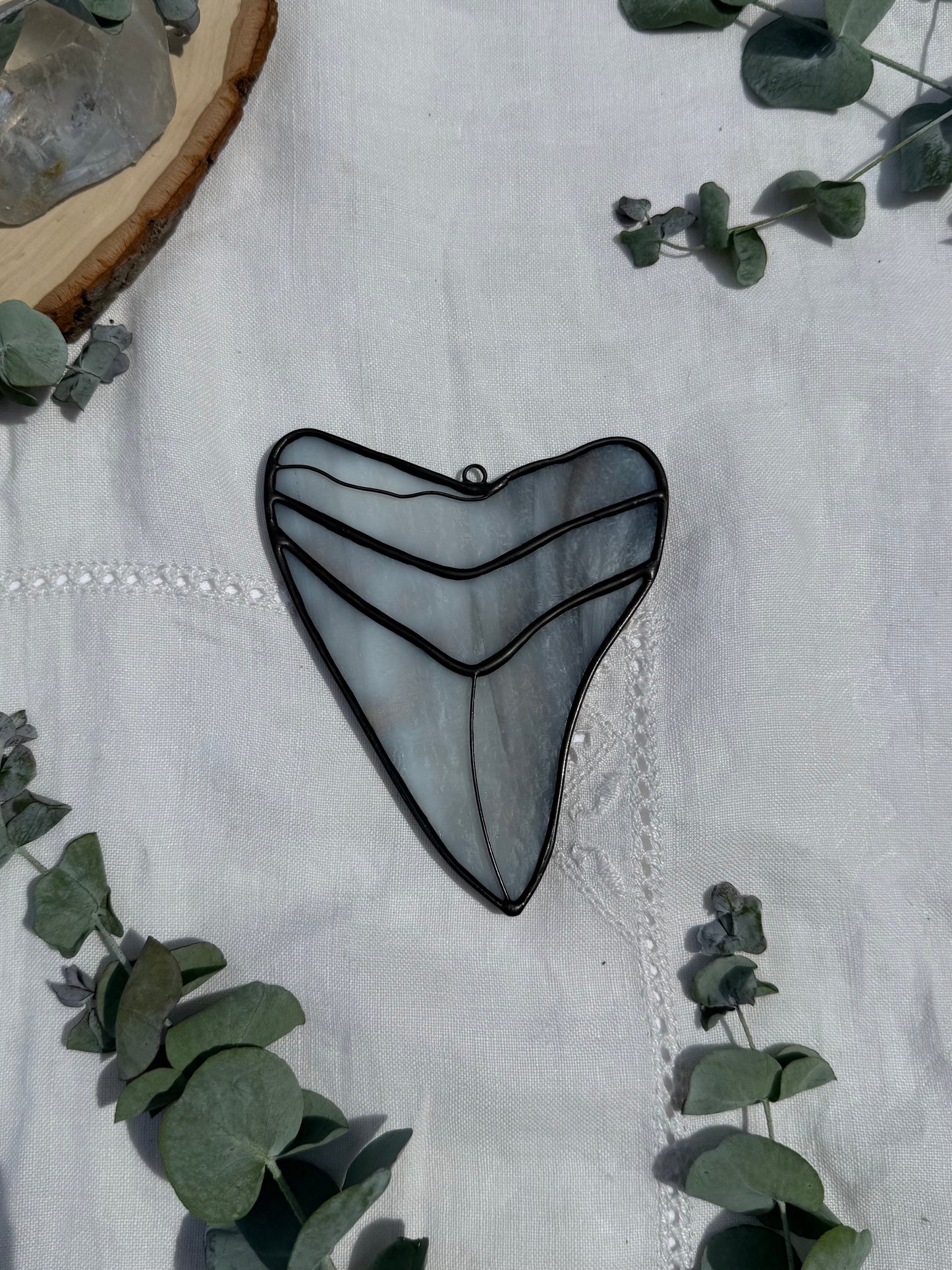 Megalodon Shark Tooth