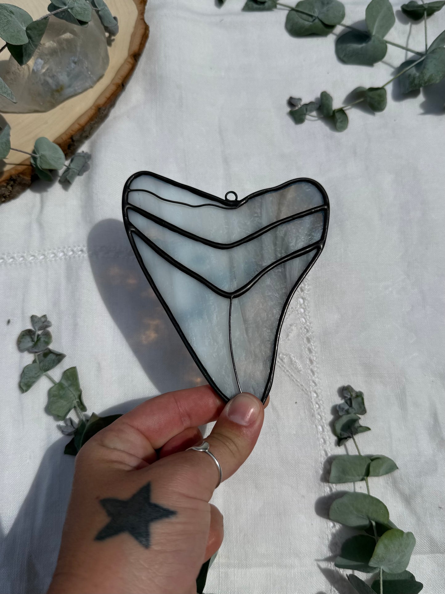 Megalodon Shark Tooth