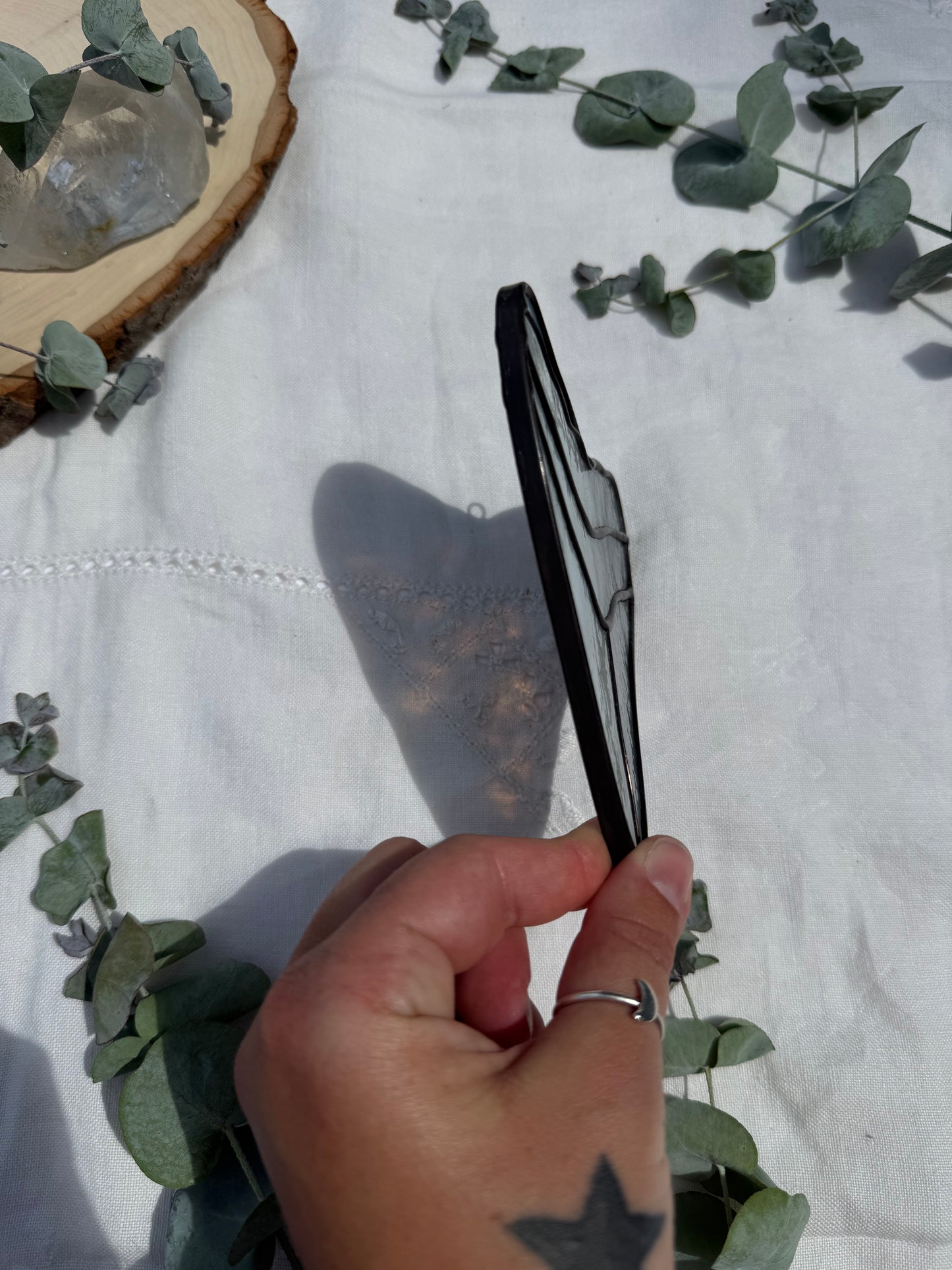 Megalodon Shark Tooth