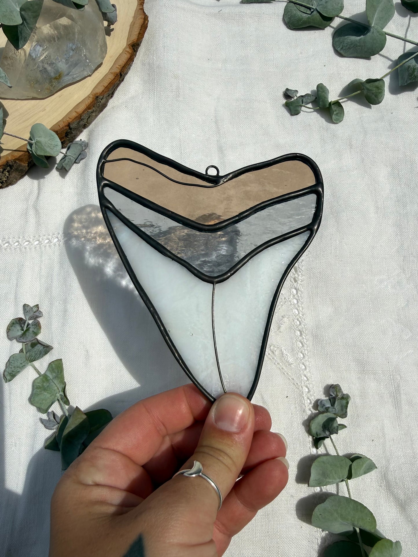 Megalodon Shark Tooth