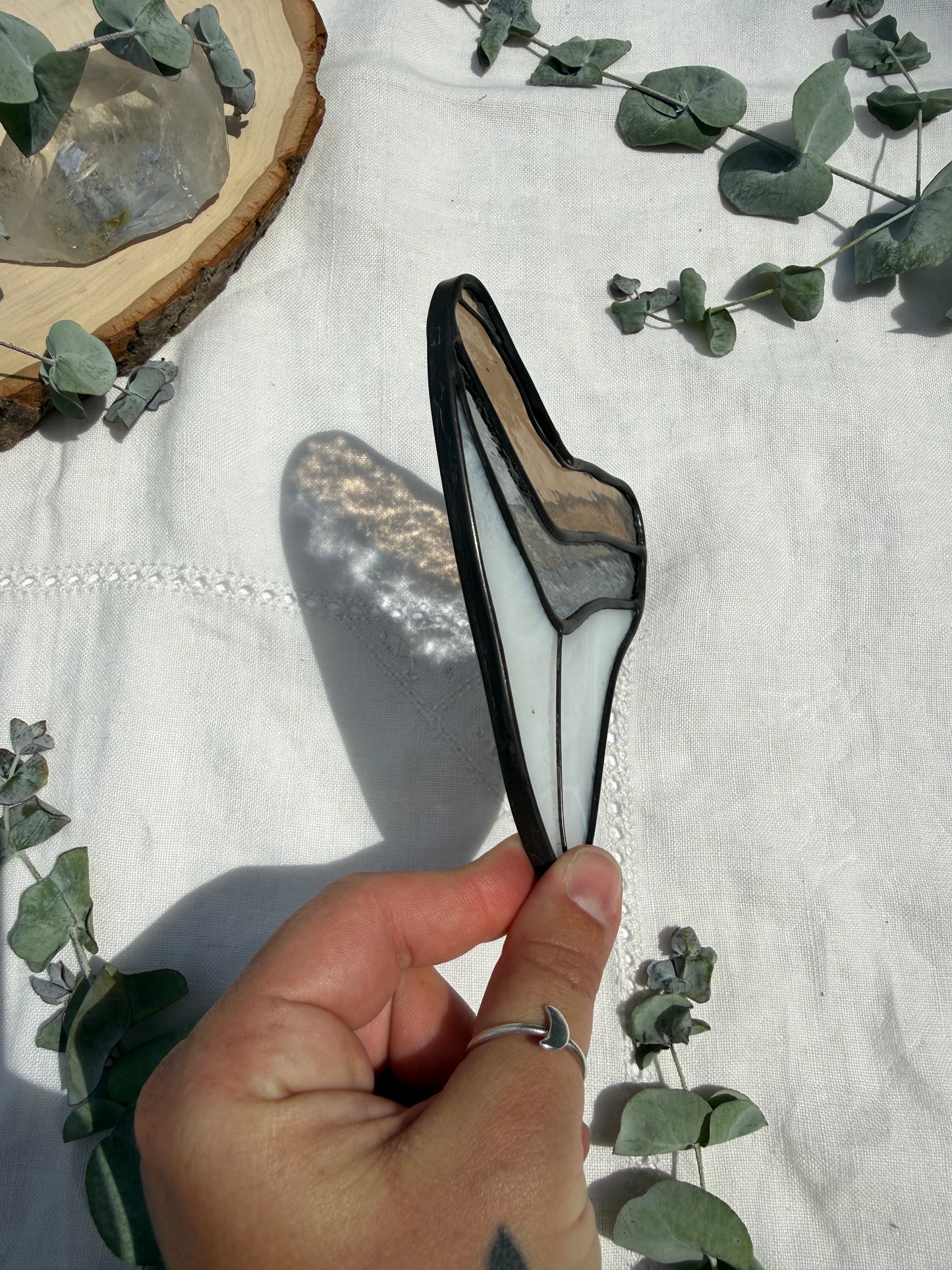 Megalodon Shark Tooth