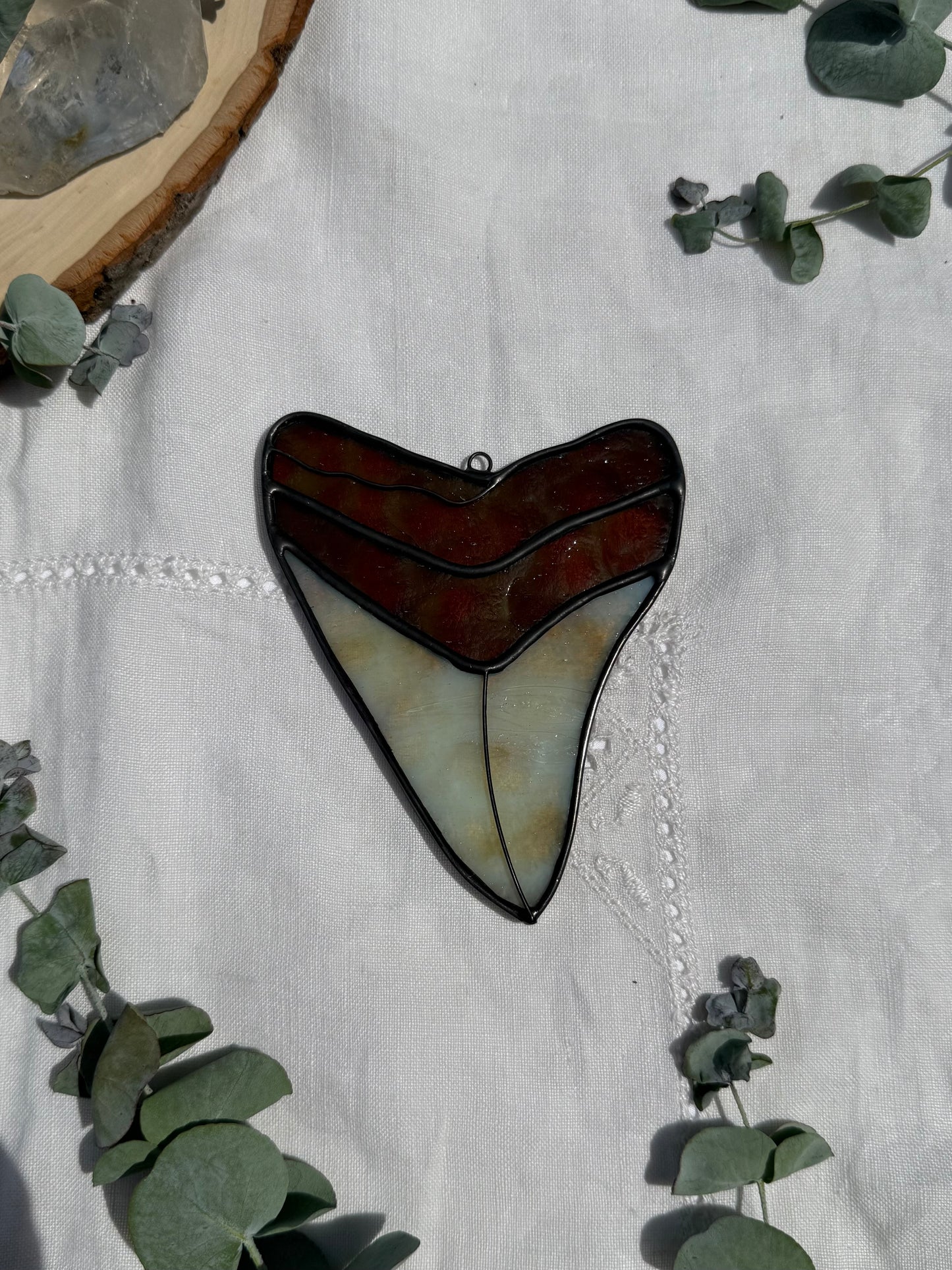 Megalodon Shark Tooth