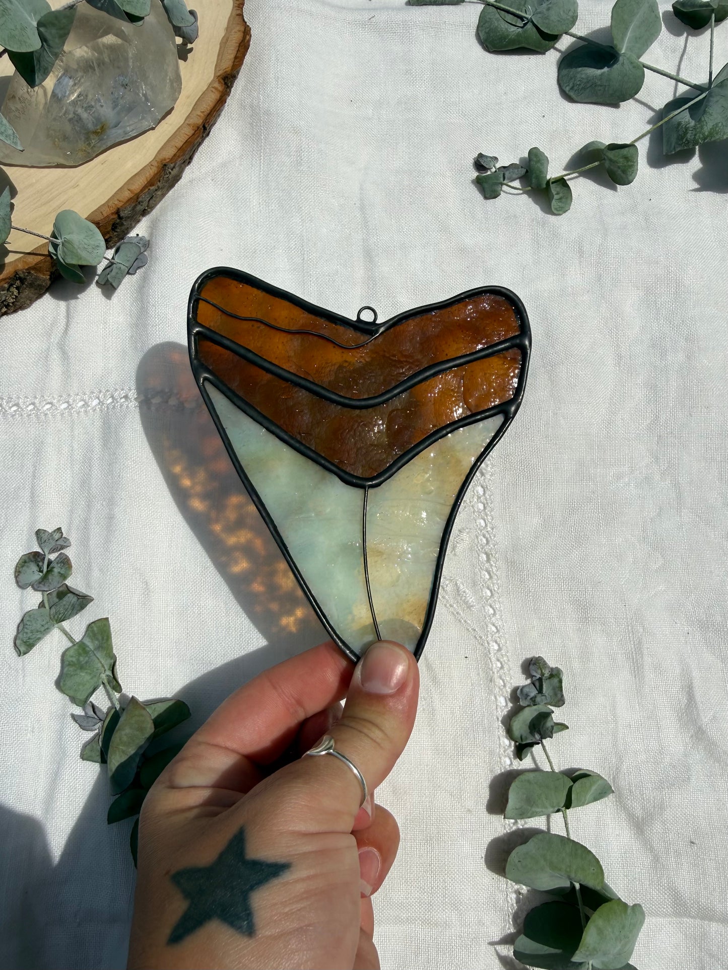 Megalodon Shark Tooth