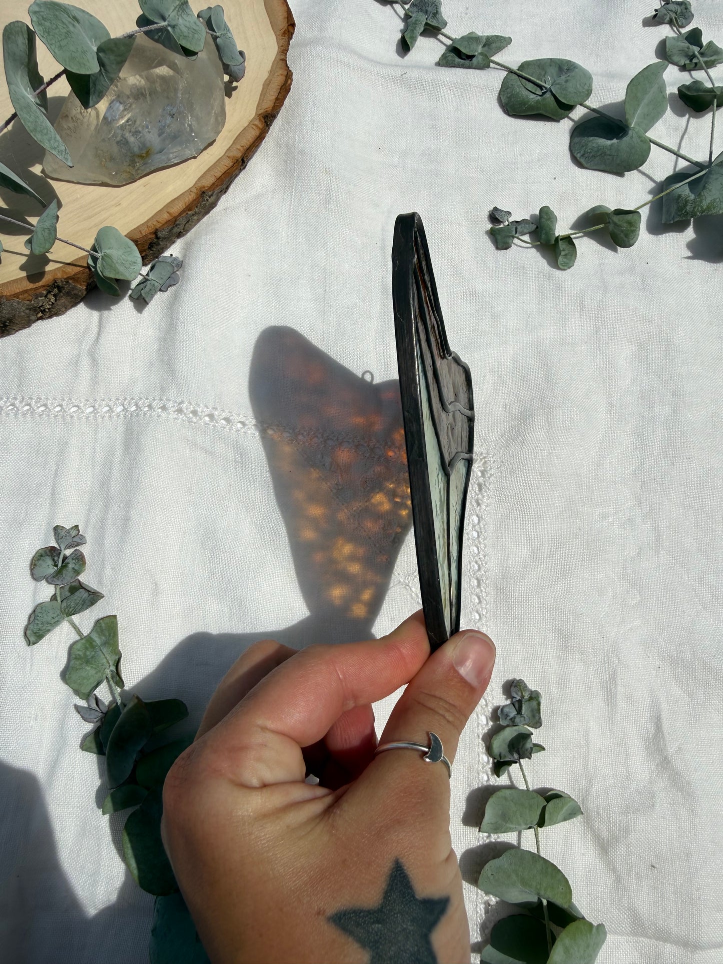 Megalodon Shark Tooth