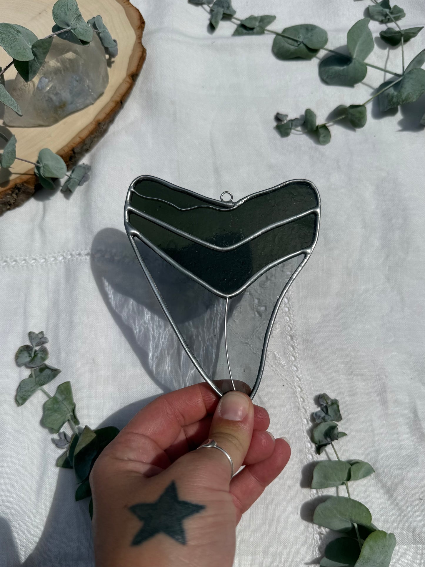 Megalodon Shark Tooth