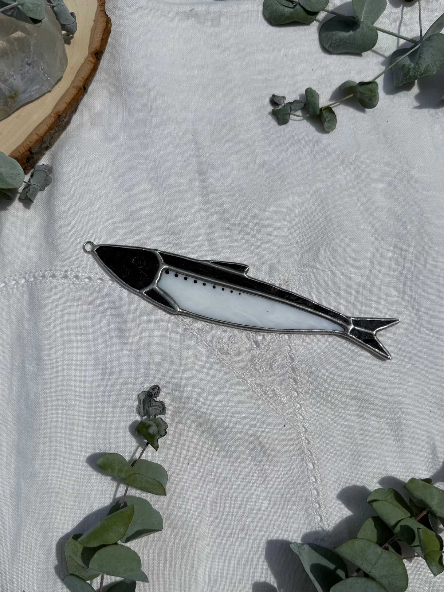 Steel Blue Sardine