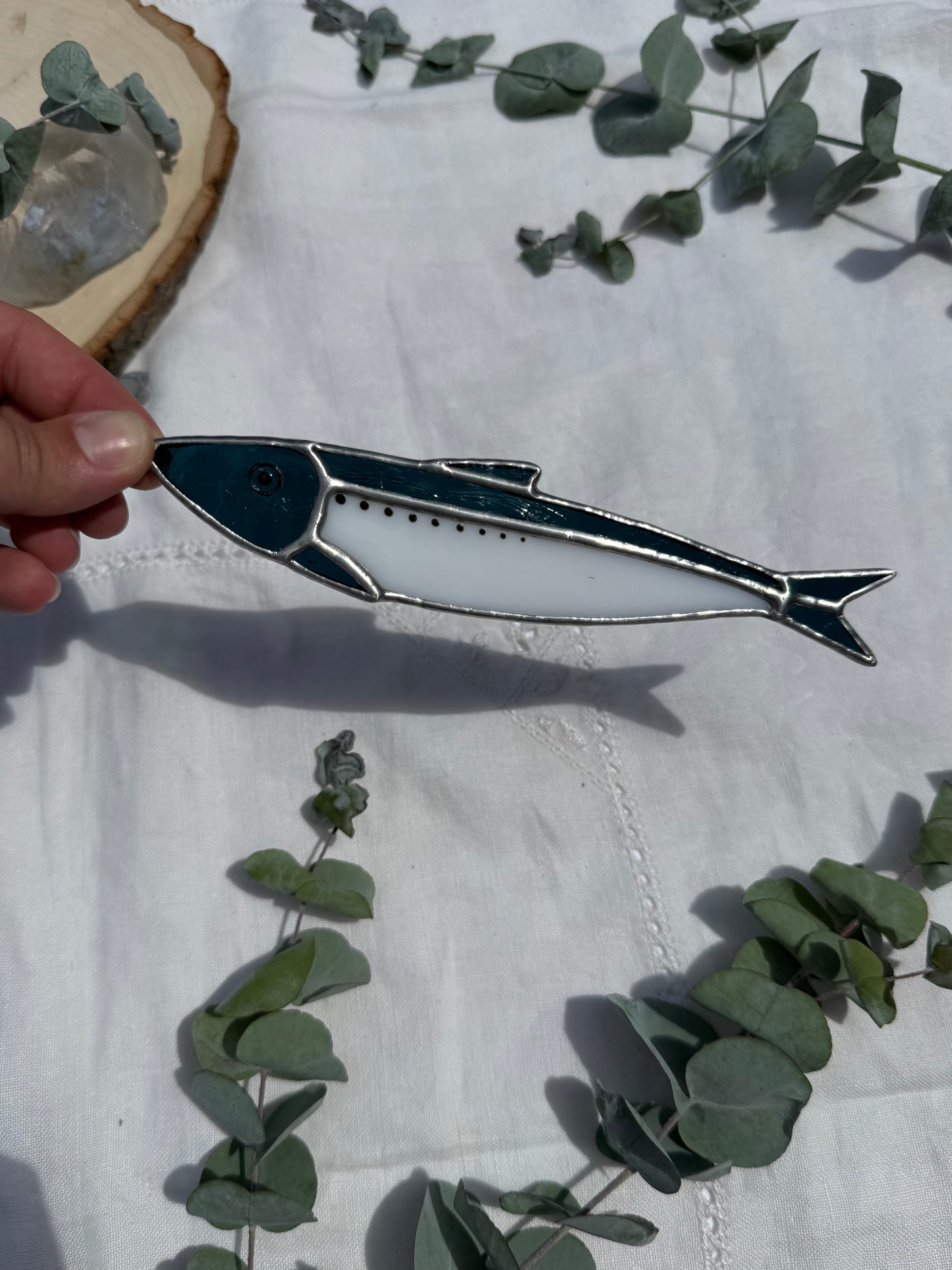 Steel Blue Sardine