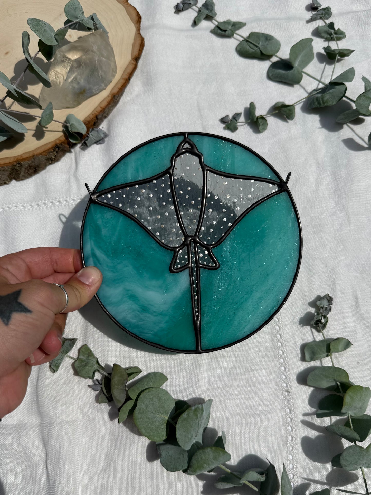 Turquoise Eagle Ray