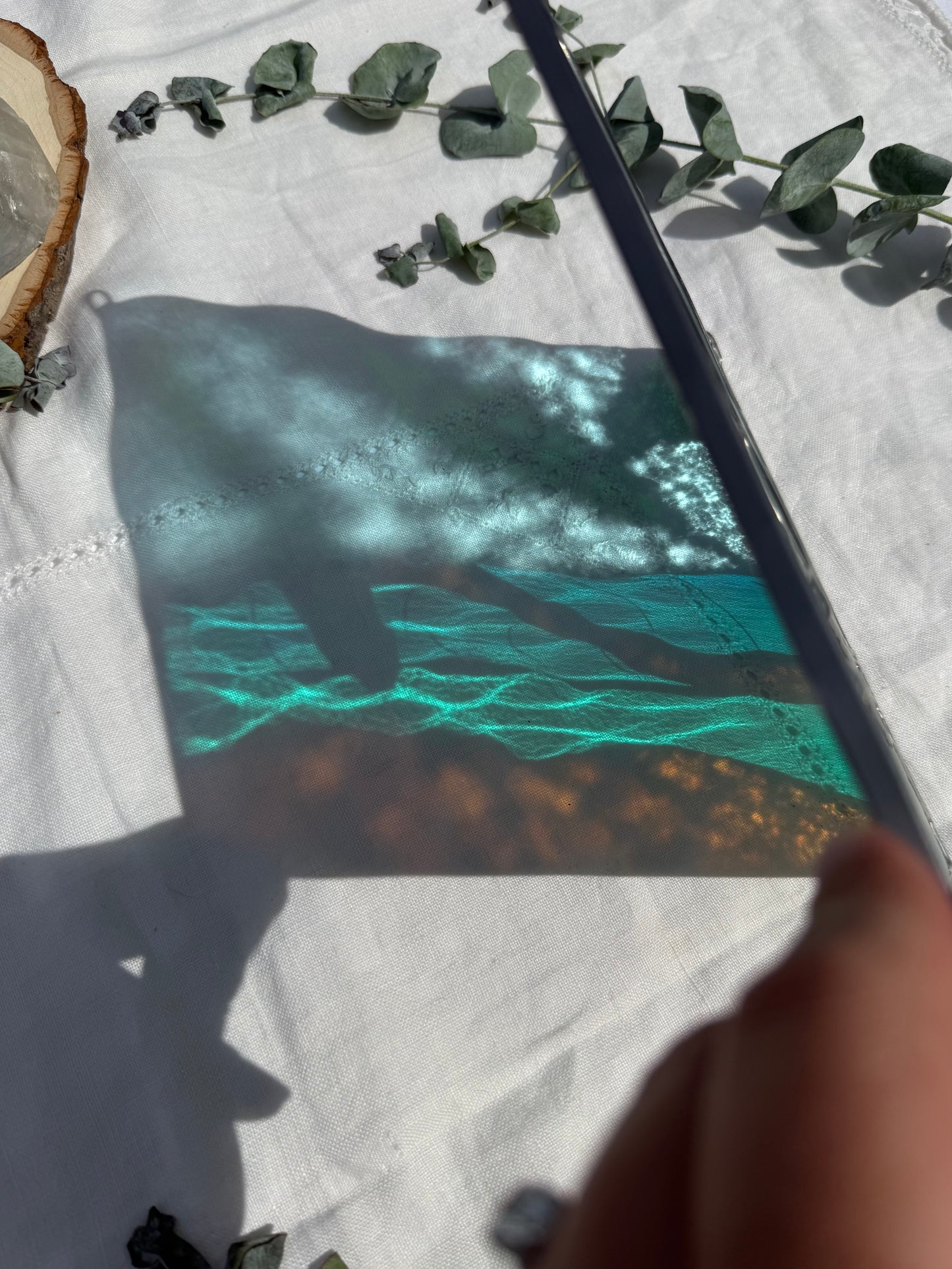 Through the Palms