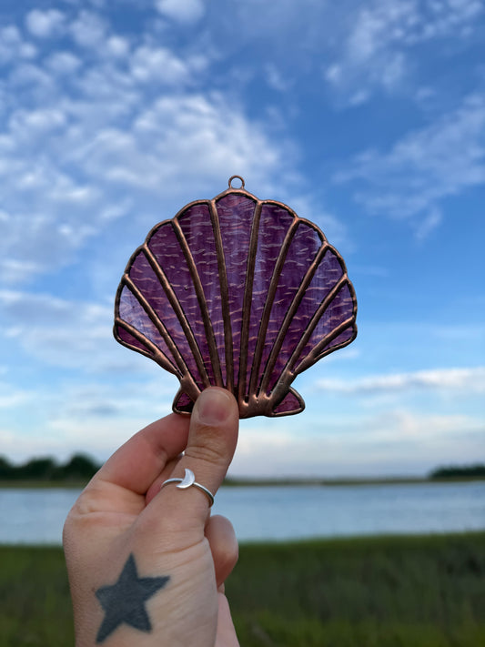 Magenta Scallop Shell