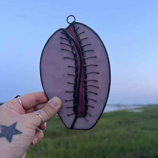 Cowrie Shell image 0