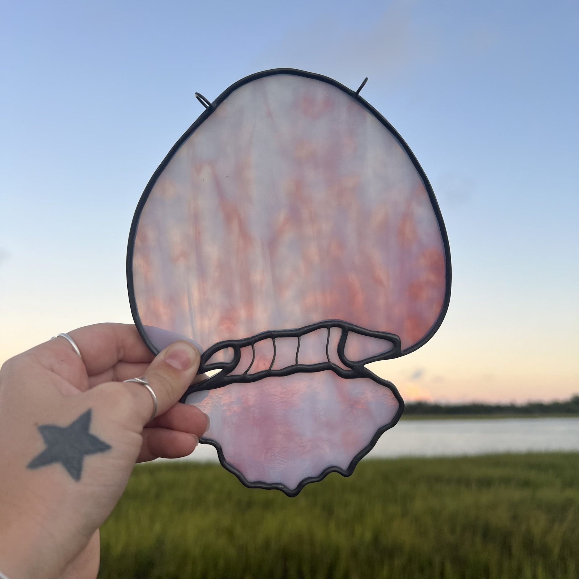 Cannonball Jellyfish image 0